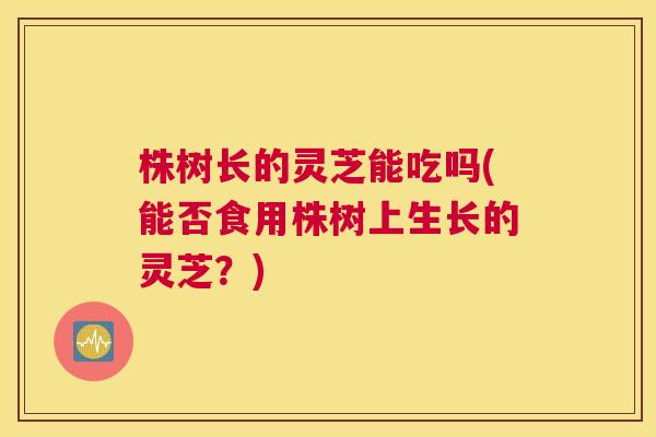 株树长的灵芝能吃吗(能否食用株树上生长的灵芝？)