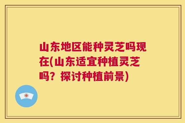 山东地区能种灵芝吗现在(山东适宜种植灵芝吗？探讨种植前景)