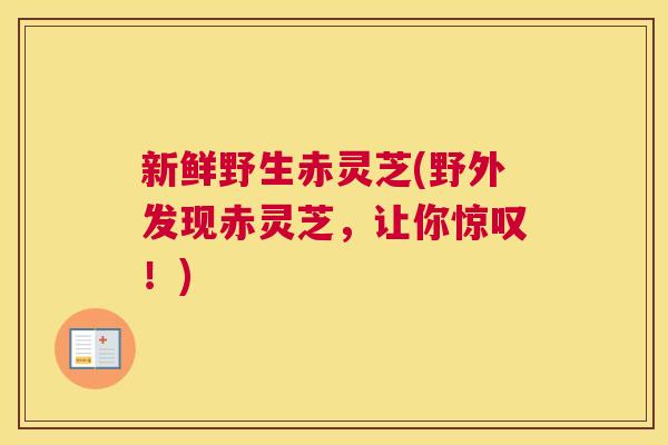 新鲜野生赤灵芝(野外发现赤灵芝，让你惊叹！)