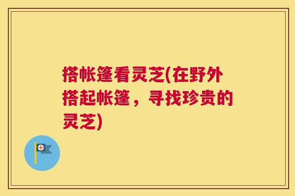 搭帐篷看灵芝(在野外搭起帐篷，寻找珍贵的灵芝)