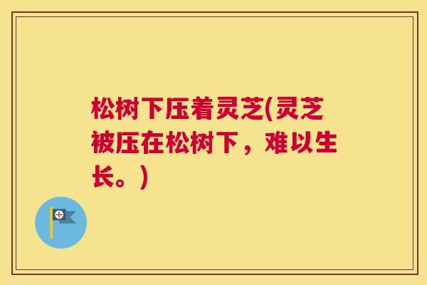 松树下压着灵芝(灵芝被压在松树下，难以生长。)