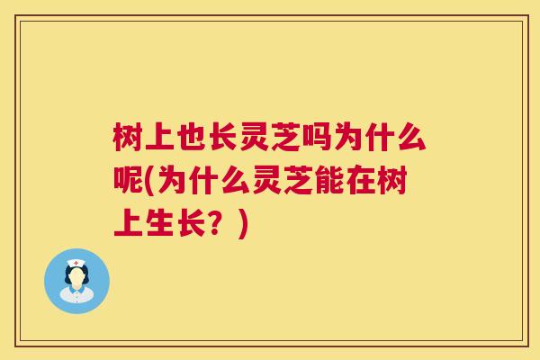 树上也长灵芝吗为什么呢(为什么灵芝能在树上生长？)