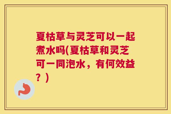 夏枯草与灵芝可以一起煮水吗(夏枯草和灵芝可一同泡水，有何效益？)
