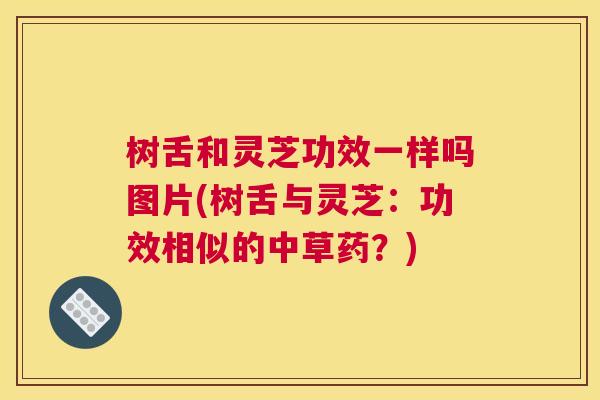 树舌和灵芝功效一样吗图片(树舌与灵芝：功效相似的中草药？)