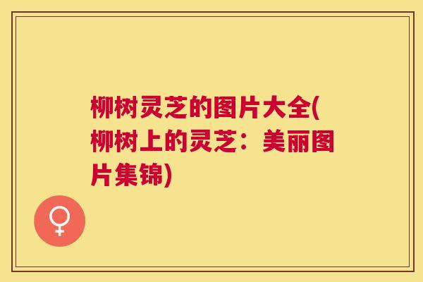 柳树灵芝的图片大全(柳树上的灵芝：美丽图片集锦)
