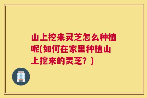 山上挖来灵芝怎么种植呢(如何在家里种植山上挖来的灵芝?) 山上挖来灵芝怎么种植呢(如何在家里种植山上挖来的灵芝?)