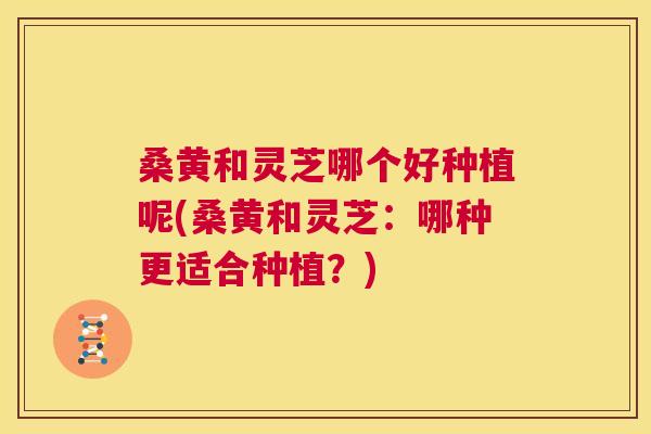 桑黄和灵芝哪个好种植呢(桑黄和灵芝：哪种更适合种植？)