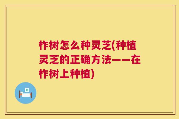 柞树怎么种灵芝(种植灵芝的正确方法——在柞树上种植)