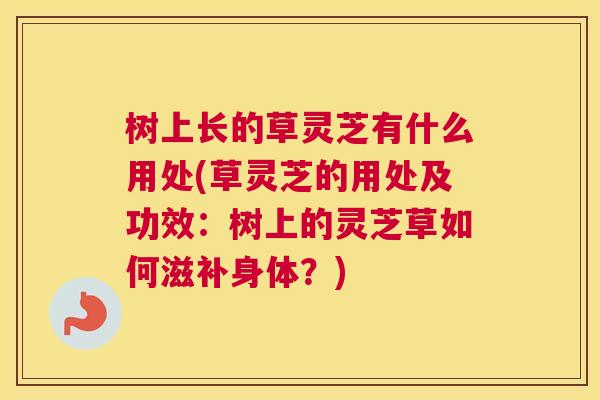 树上长的草灵芝有什么用处(草灵芝的用处及功效：树上的灵芝草如何滋补身体？)