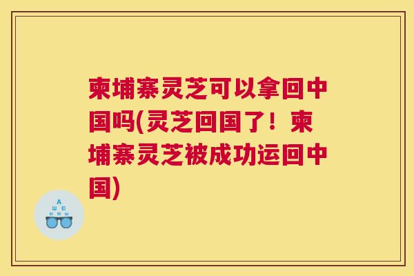 柬埔寨灵芝可以拿回中国吗(灵芝回国了！柬埔寨灵芝被成功运回中国)