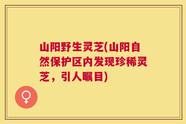 山阳野生灵芝(山阳自然保护区内发现珍稀灵芝，引人瞩目)