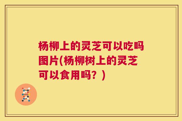 杨柳上的灵芝可以吃吗图片(杨柳树上的灵芝可以食用吗？)