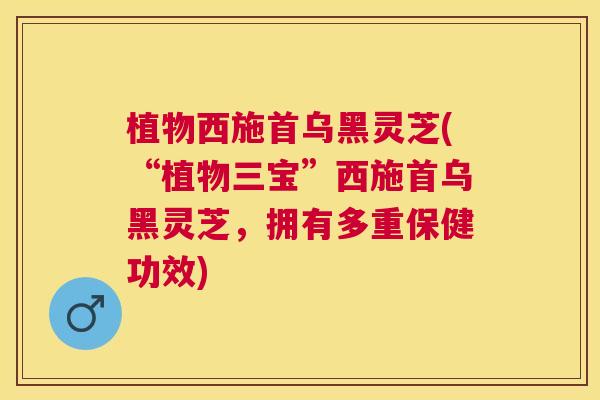植物西施首乌黑灵芝(“植物三宝”西施首乌黑灵芝，拥有多重保健功效)