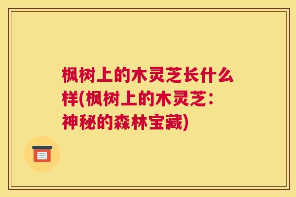 枫树上的木灵芝长什么样(枫树上的木灵芝：神秘的森林宝藏)