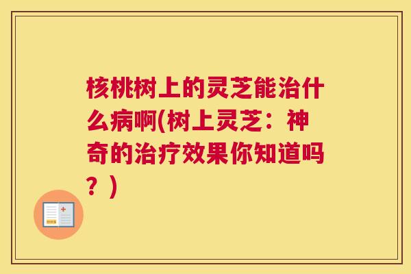 核桃树上的灵芝能治什么病啊(树上灵芝：神奇的治疗效果你知道吗？)