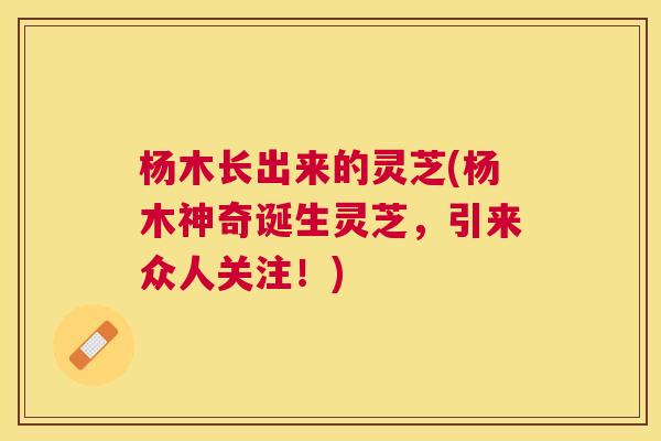 杨木长出来的灵芝(杨木神奇诞生灵芝，引来众人关注！)