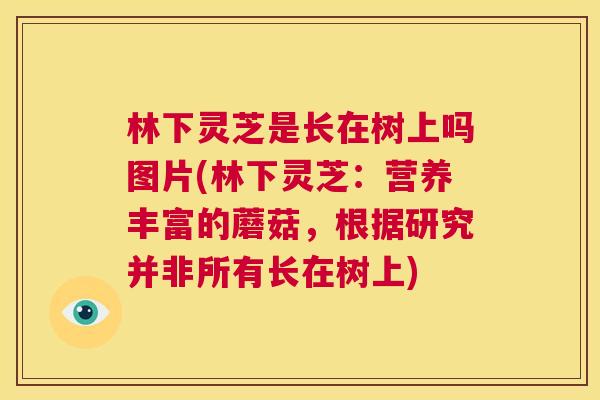 林下灵芝是长在树上吗图片(林下灵芝：营养丰富的蘑菇，根据研究并非所有长在树上)
