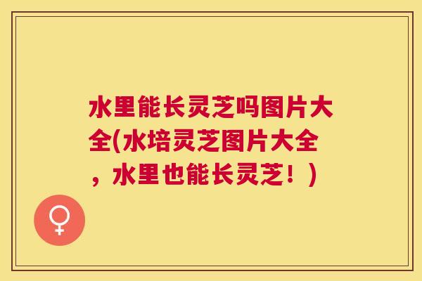 水里能长灵芝吗图片大全(水培灵芝图片大全,水里也能长灵芝!) 水里能长灵芝吗图片大全(水培灵芝图片大全,水里也能长灵芝!)