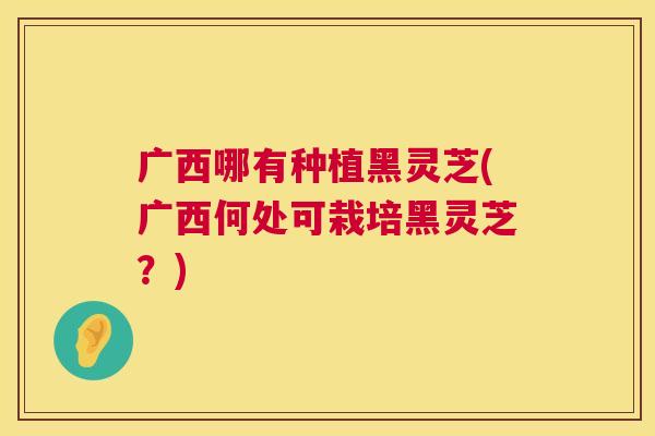 广西哪有种植黑灵芝(广西何处可栽培黑灵芝？)