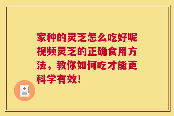 家种的灵芝怎么吃好呢视频灵芝的正确食用方法,教你如何吃才能更科学有效! 家种的灵芝怎么吃好呢视频灵芝的正确食用方法,教你如何吃才能更科学有效!