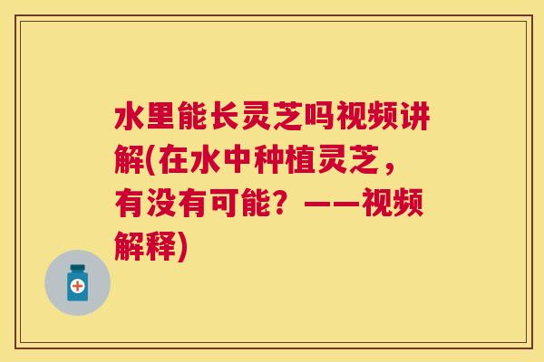 水里能长灵芝吗视频讲解(在水中种植灵芝,有没有可能?——视频解释) 水里能长灵芝吗视频讲解(在水中种植灵芝,有没有可能?——视频解释)