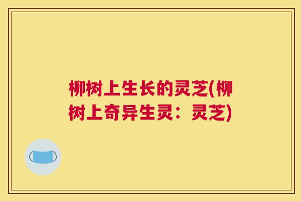 柳树上生长的灵芝(柳树上奇异生灵：灵芝)