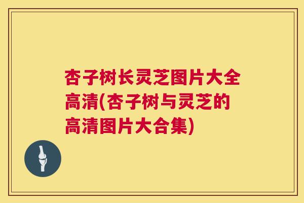 杏子树长灵芝图片大全高清(杏子树与灵芝的高清图片大合集)