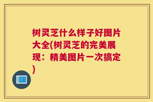 树灵芝什么样子好图片大全(树灵芝的完美展现：精美图片一次搞定)