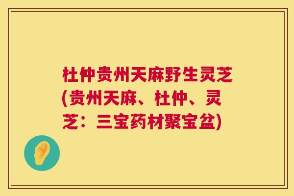 杜仲贵州天麻野生灵芝(贵州天麻、杜仲、灵芝：三宝药材聚宝盆)