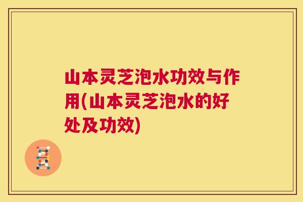 山本灵芝泡水功效与作用(山本灵芝泡水的好处及功效)