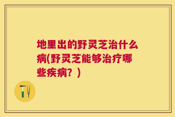 地里出的野灵芝治什么病(野灵芝能够治疗哪些疾病？)
