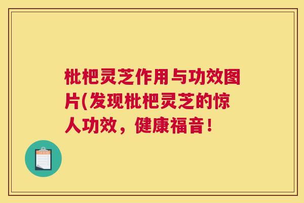 枇杷灵芝作用与功效图片(发现枇杷灵芝的惊人功效，健康福音！