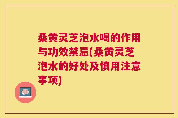 桑黄灵芝泡水喝的作用与功效禁忌(桑黄灵芝泡水的好处及慎用注意事项)