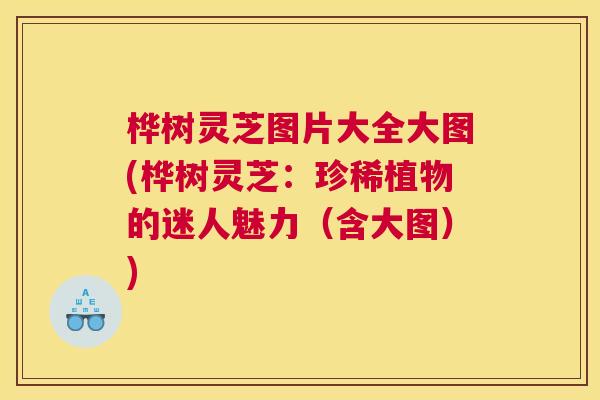 桦树灵芝图片大全大图(桦树灵芝：珍稀植物的迷人魅力（含大图）)