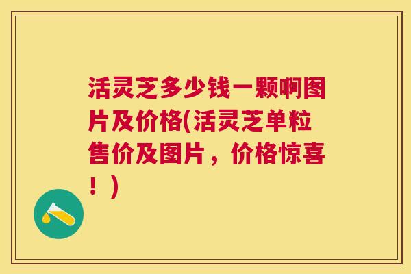 活灵芝多少钱一颗啊图片及价格(活灵芝单粒售价及图片，价格惊喜！)