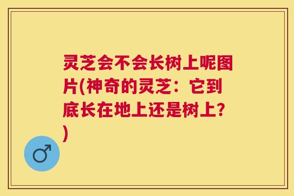 灵芝会不会长树上呢图片(神奇的灵芝：它到底长在地上还是树上？)