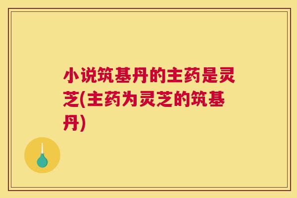小说筑基丹的主药是灵芝(主药为灵芝的筑基丹)