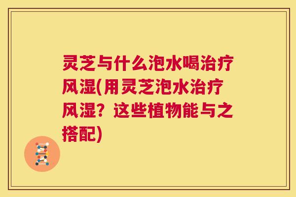 灵芝与什么泡水喝治疗风湿(用灵芝泡水治疗风湿？这些植物能与之搭配)