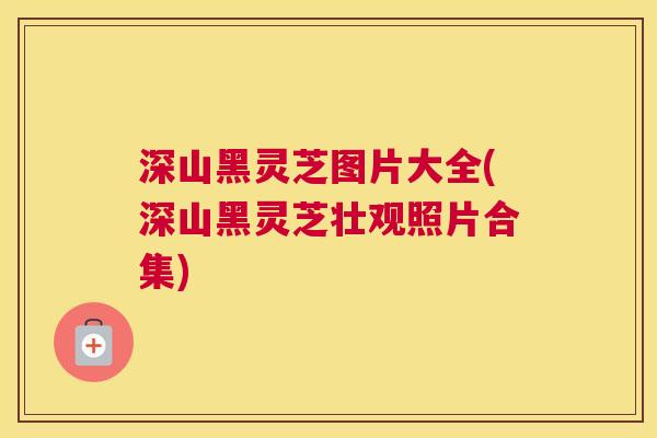 深山黑灵芝图片大全(深山黑灵芝壮观照片合集)