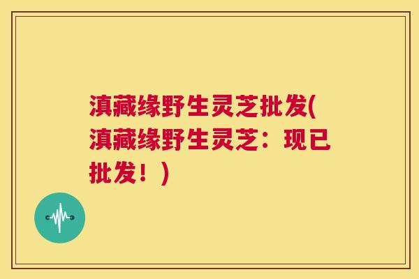 滇藏缘野生灵芝批发(滇藏缘野生灵芝：现已批发！)