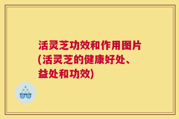 活灵芝功效和作用图片(活灵芝的健康好处、益处和功效)