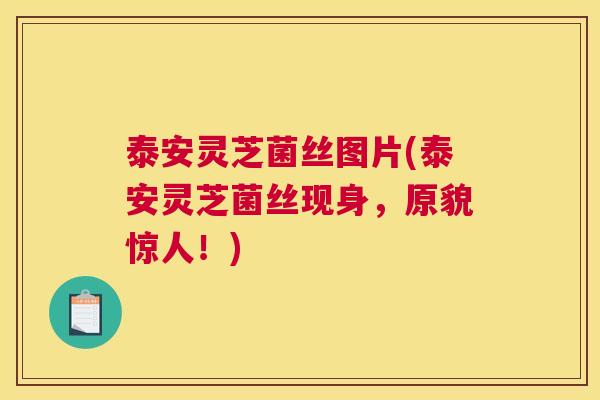 泰安灵芝菌丝图片(泰安灵芝菌丝现身，原貌惊人！)