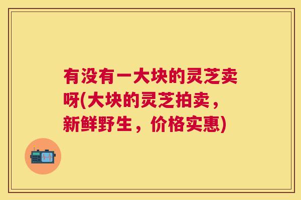 有没有一大块的灵芝卖呀(大块的灵芝拍卖,新鲜野生,价格实惠) 有没有一大块的灵芝卖呀(大块的灵芝拍卖,新鲜野生,价格实惠)
