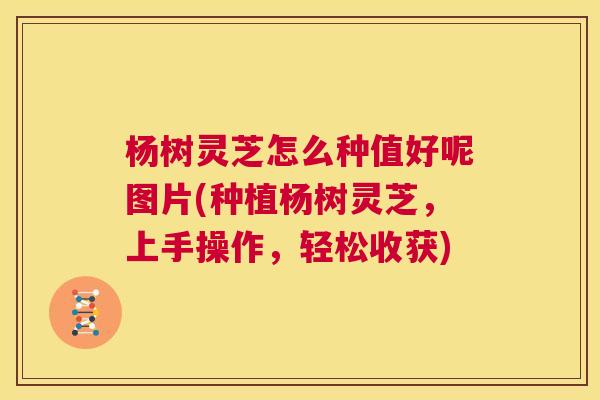 杨树灵芝怎么种值好呢图片(种植杨树灵芝，上手操作，轻松收获)