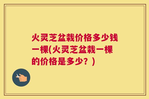 火灵芝盆栽价格多少钱一棵(火灵芝盆栽一棵的价格是多少？)