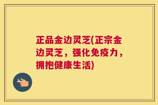 正品金边灵芝(正宗金边灵芝，强化免疫力，拥抱健康生活)