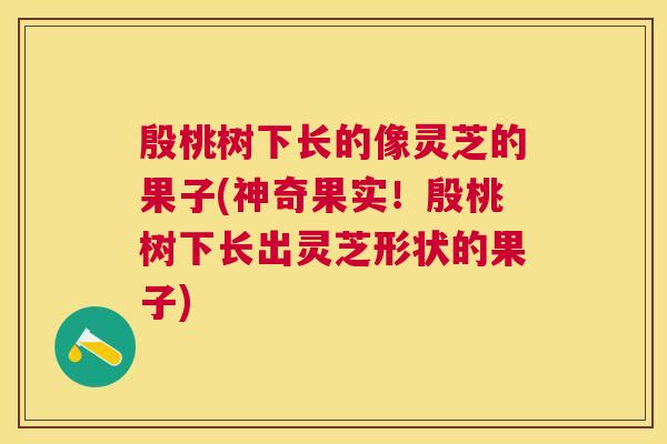 殷桃树下长的像灵芝的果子(神奇果实！殷桃树下长出灵芝形状的果子)
