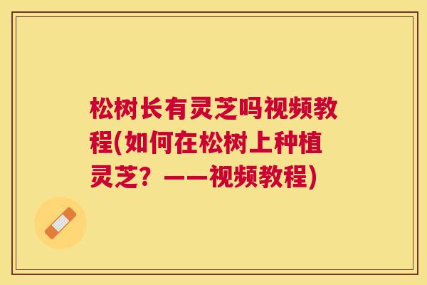松树长有灵芝吗视频教程(如何在松树上种植灵芝？——视频教程)
