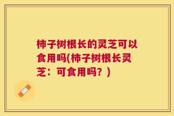 柿子树根长的灵芝可以食用吗(柿子树根长灵芝：可食用吗？)