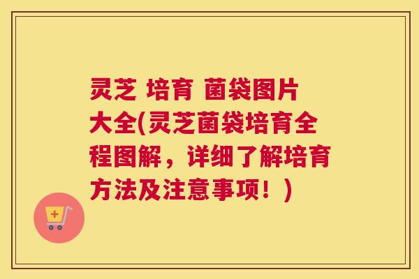 灵芝 培育 菌袋图片大全(灵芝菌袋培育全程图解，详细了解培育方法及注意事项！)